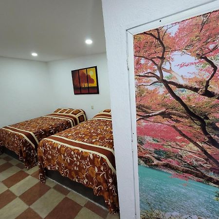 Hotel Vicalis San Juan Teotihuacán Exteriör bild